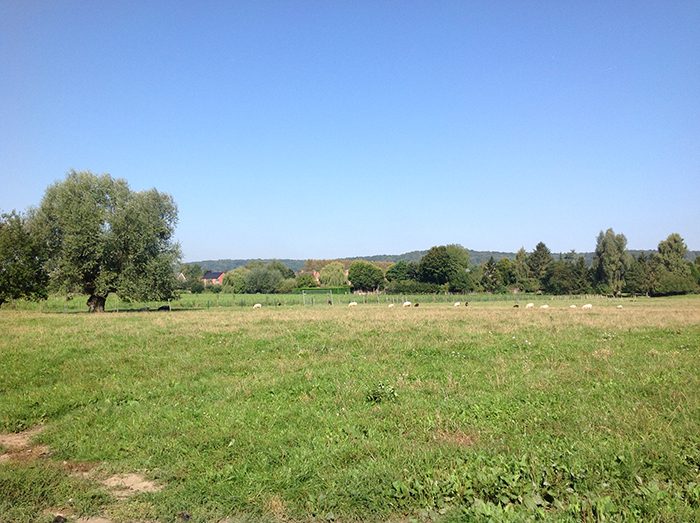 Uitzicht op de velden